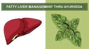 Fatty Liver Ayurveda Medicine